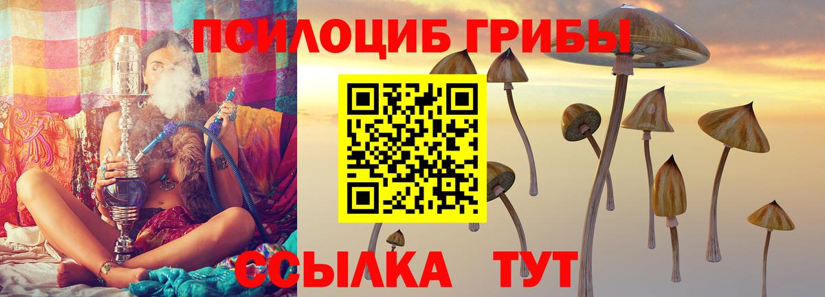 Псилоцибиновые грибы Magic Shrooms  Вход с VPN  купить закладку  Псилоцибиновые грибы ЛСД  Златоуст 