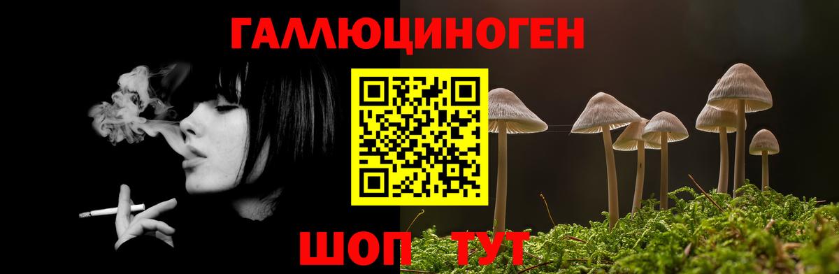 Галлюциногенные грибы прущие грибы Златоуст